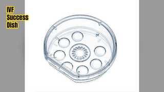 Hidangan Selang Waktu untuk Kesuksesan IVF