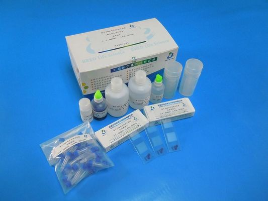 Kit Uji Fragmentasi DNA Sperma Wright dengan Metode SCD untuk 40 Tes/Kit di Laboratorium Andrologi