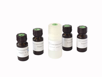 Kit to Evaluate Sperm DNA Integrity